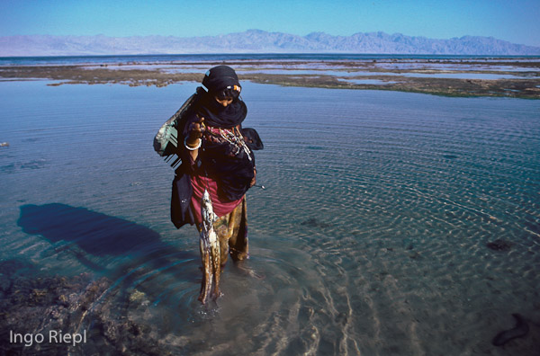 Bedouin woman looking for octopus